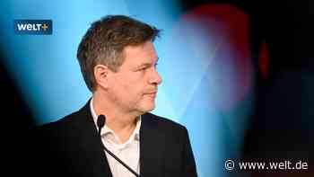 Habecks falsches EEG-Versprechen – So wenig sparen Verbraucher wirklich