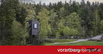 Erlebnis-Baumhaus: Architektur auf Stelzen - ORF.at