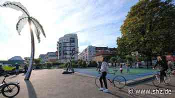 Nachtleben in Hamburg: Park Fiction: Streit um Partylärm auf dem Kiez | shz.de - shz.de