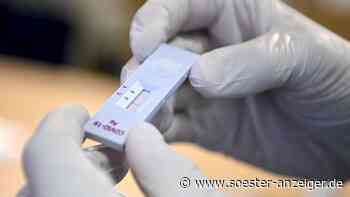 Corona-Update Kreis Soest am Dienstag: 194 neue Fälle - Inzidenz fast bei 300 - soester-anzeiger.de