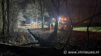 Boom valt op Zaanse brandweerman tijdens oefening bij camping Starnmeer - NH Nieuws