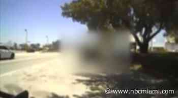 New Surveillance Video Released in Fatal Hialeah Gardens Bus Stop Shooting