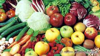 Mercato ortofrutticolo di Sestu: “Con i rincari dei prezzi dell’energia si rischia la chiusura” - L'Unione Sarda.it - L'Unione Sarda.it