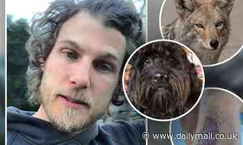 Travis Van Winkle saves his dog from two hungry coyotes, says it was 'scary'