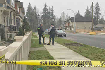 BREAKING NEWS: Shots fired in Langley suburb Tuesday afternoon