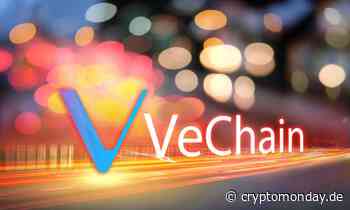 VeChain Kurs-Prognose: Wird sich VET jemals wieder erholen? - CryptoMonday | Bitcoin & Blockchain News | Community & Meetups