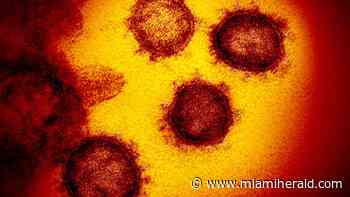 Is there another omicron coronavirus variant? Yes, and here’s what experts say about it - Miami Herald