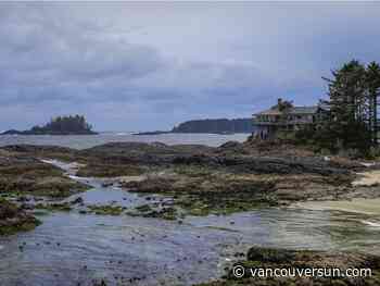 Water taxi with six on board hits rocks near Tofino; four suffer injuries