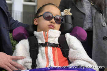 Appeal by Island driver who struck Leila Bui in crosswalk dismissed – Comox Valley Record - Comox Valley Record