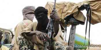 Boko Haram Terrorists Declare Borno Town As West African Caliphate Headquarters - Naija News