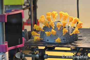 Chemnitz: "Lokomov"-Fensterschau auf der Spur des Virus - Corona aus dem Drucker - TAG24