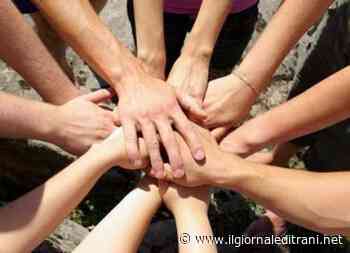 Pnrr e terzo settore: domani l'incontro online per l'ambito Trani-Bisceglie - Radio Bombo