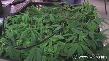 More than a third of NYS municipalities opt out of marijuana sales