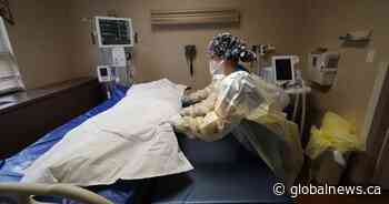 COVID-19: Scientist stands by research Premier Moe called ‘misinformation’