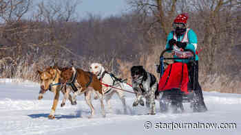 Sled dogs to dash in Rhinelander - Star Journal - Starjournalnow