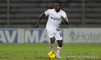 Calciomercato Crotone, movimenti in ingresso a centrocampo e in attacco: le ultime - LaC news24