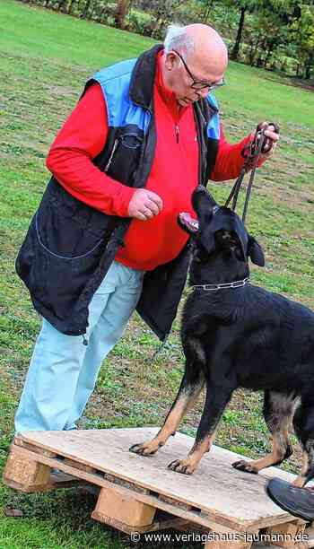 Steinen: Guter Neustart nach Corona - Verlagshaus Jaumann - www.verlagshaus-jaumann.de
