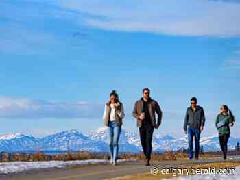 COVID-19 Update: Paxlovid to be available in Alberta starting Jan. 31 | Public schools face $14 million shortfall | Alberta reports 2,722 new cases, 73 hospitalizations - Calgary Herald