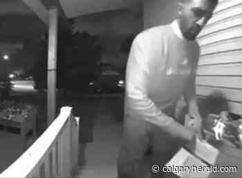 Calgary Skyview MP George Chahal pays $500 penalty for removing opponent's flyer - Calgary Herald