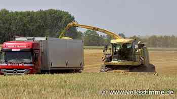 Warum die Düngeverordnung in Lindau auf Kritik stößt - Volksstimme