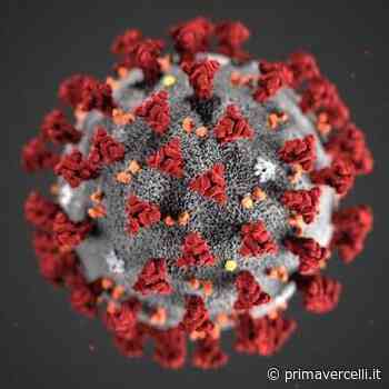 Covid Vercelli: 219 nuovi contagi e 330 guariti - Prima Vercelli