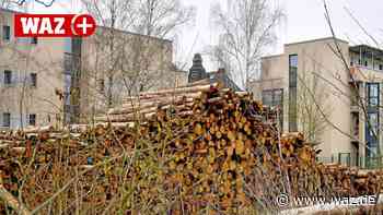 Es rollen weniger Holztransporte ab Bahnhof Witten Herbede - Westdeutsche Allgemeine Zeitung