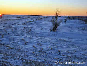 Arrest made after bodies discovered near border - KenoraOnline.com