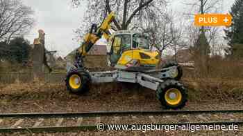 Anwohner ärgern sich über unangekündigte Baumfällung in Lechhausen - Augsburger Allgemeine
