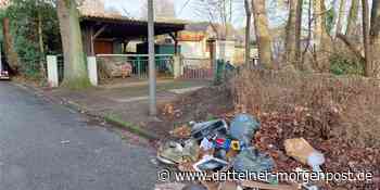 Müllsäcke, Pommes und Hamburger einfach so weggeworfen - Dattelner Morgenpost