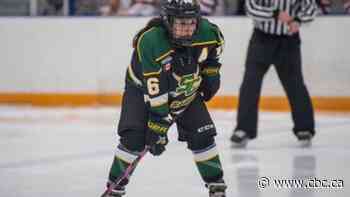 Hockey fans look to Olympics as rare chance to see 'underestimated' women's game