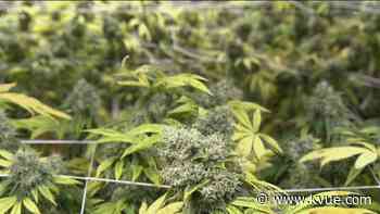 'Austin Freedom Act of 2021' heading to May ballot - KVUE.com