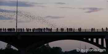 Temporary relocation or permanent stay? Californians consider their future in Austin - Austonia