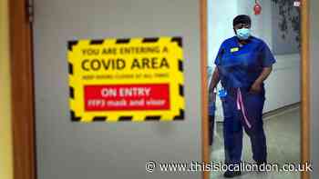 Covid UK: Four Omicron strains now circulating, World Health Organisation warns