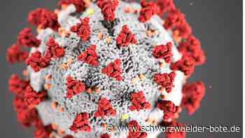 Corona im Kreis Calw - Infektionszahlen gehen durch die Decke - Schwarzwälder Bote