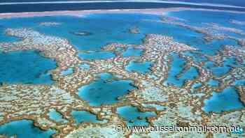 Great Barrier Reef 'record coral' claim is all at sea - Busselton Dunsborough Mail