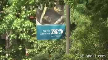 North Carolina Zoo closes aviary after report of bird flu