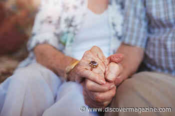 Aging is Still One of Biology's Greatest Mysteries