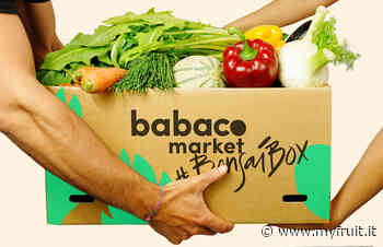 Babaco Market arriva a Bologna, Reggio Emilia e Parma - Myfruit.it