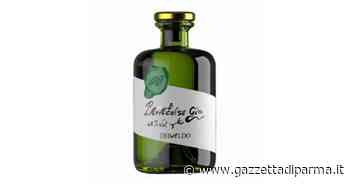 Dibaldo Paracelso Gin: mediterraneo ed esotico - Gazzetta di Parma