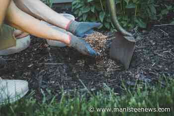 Learn about garden preparation for winter during Master Gardener meeting - Manistee News Advocate