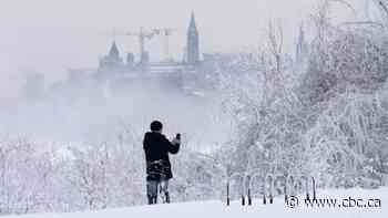 What you need to know about COVID-19 in Ottawa on Tuesday, Jan. 25 - CBC.ca