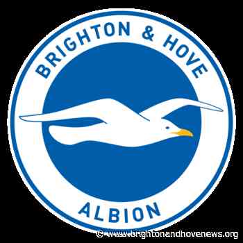 Welbeck to the rescue again – Leicester City 1 Brighton & Hove Albion 1 - Brighton and Hove News