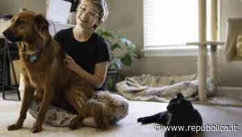Animali da compagnia: Prato, Verona e Modena sono le città dove possono vivere meglio - La Repubblica