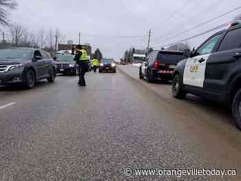 Brampton resident attempts to flee a RIDE program on foot - orangevilletoday.ca