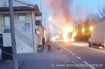 Incêndio em camião condiciona trânsito na Mealhada – Notícias de Coimbra - Notícias de Coimbra