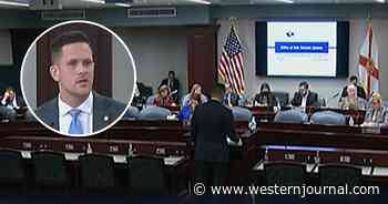 FL Republicans Draft Ingenious Bill to Wreck Left's Gender Brainwashing - Other States Should Copy It