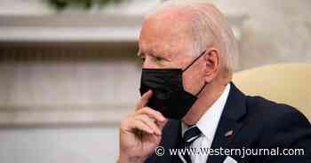 Three Members of US Team Negotiating with Iran Quit Over Biden's Approach: Report