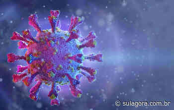 Tubarão, Gravatal, Imbituba e Laguna registram novas mortes por covid-19 - Sul. Agora
