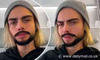 Cara Delevingne plays around with hilarious bearded filter
