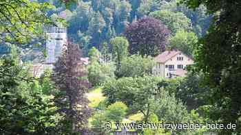 Gemeinderat Bad Wildbad: Kreditaufnahmen von 8,55 Millionen Euro geplant